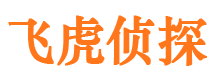 海南市调查公司